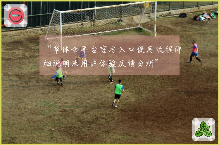 “华体会平台官方入口使用流程详细说明及用户体验反馈分析”
